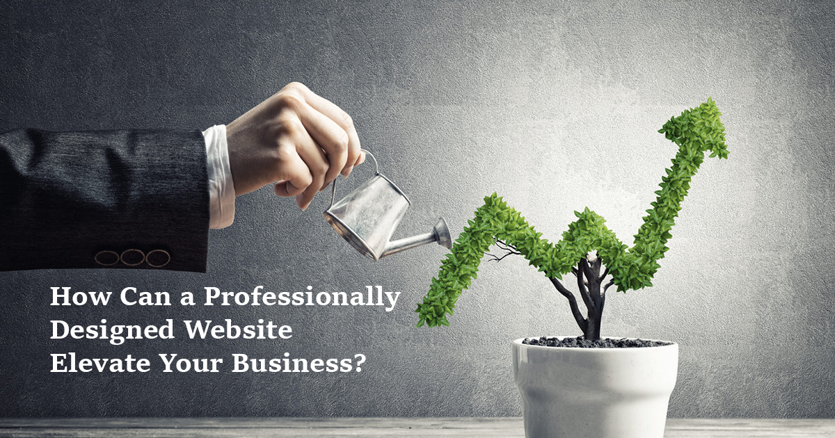 How Can a Professionally Designed Website Elevate Your Business ?